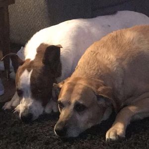 Meet your Posher, Beth